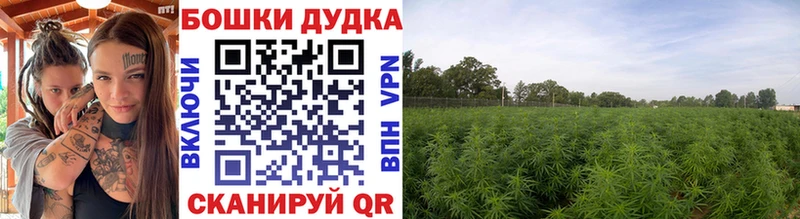 Как найти наркотики Бийск COCAIN blacksprut сайт Alpha-PVP Каннабис Меф Амфетамин