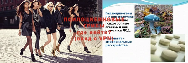 apvp Алзамай