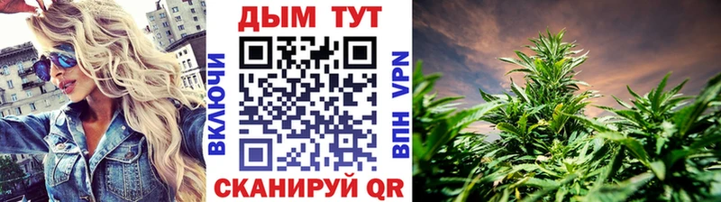 Марихуана план  где можно купить   Бийск 